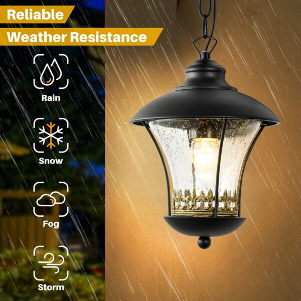 Outdoor E27 Pendant Light, Outdoor Hanging Lights in Black Finish with Bubble Glass Design, Waterproof Exterior Hanging Lantern Outdoor Chandelier for Gazebo, Porch, Patio, Hallway, Entryway 2218-1H-ELSEWEDY - Image 2