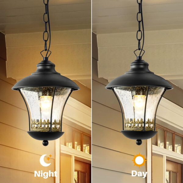 Outdoor E27 Pendant Light, Outdoor Hanging Lights in Black Finish with Bubble Glass Design, Waterproof Exterior Hanging Lantern Outdoor Chandelier for Gazebo, Porch, Patio, Hallway, Entryway 2218-1H-ELSEWEDY - Image 4