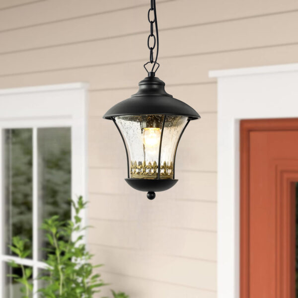 Outdoor E27 Pendant Light, Outdoor Hanging Lights in Black Finish with Bubble Glass Design, Waterproof Exterior Hanging Lantern Outdoor Chandelier for Gazebo, Porch, Patio, Hallway, Entryway 2218-1H-ELSEWEDY - Image 5