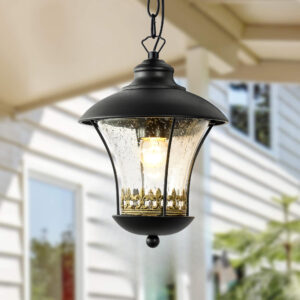 Outdoor E27 Pendant Light, Outdoor Hanging Lights in Black Finish with Bubble Glass Design, Waterproof Exterior Hanging Lantern Outdoor Chandelier for Gazebo, Porch, Patio, Hallway, Entryway 2218-1H-ELSEWEDY