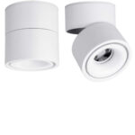 Ceiling Spotlight - 360°Adjustable Indoor Surface Mounted 12W COB Lighting -Cool White 6000K Ceiling Downlight-Wall Swivel Lamp DL-12-6K-WH