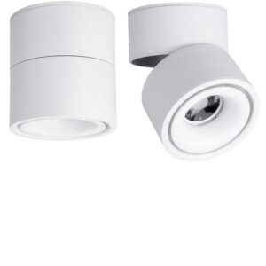 Ceiling Spotlight - 360°Adjustable Indoor Surface Mounted 12W COB Lighting -Cool White 6000K Ceiling Downlight-Wall Swivel Lamp DL-12-6K-WH