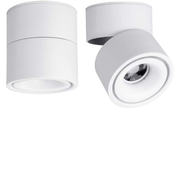 Ceiling Spotlight - 360°Adjustable Indoor Surface Mounted 12W COB Lighting -Cool White 6000K Ceiling Downlight-Wall Swivel Lamp DL-12-6K-WH