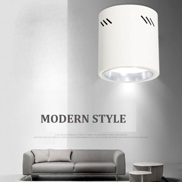 Cylinder Shape Surface Downlight Spot Light IP44 Living Room Washroom Office Ceiling Light EGYCYLINDER-190X210
